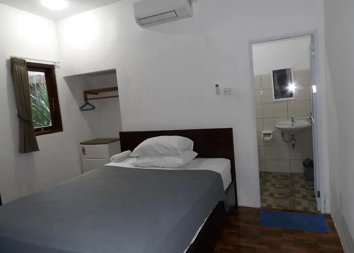 Lala Guest house *