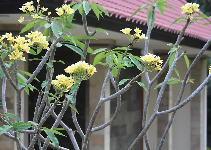 Guest house Lala Nusa Dua (Bali)
